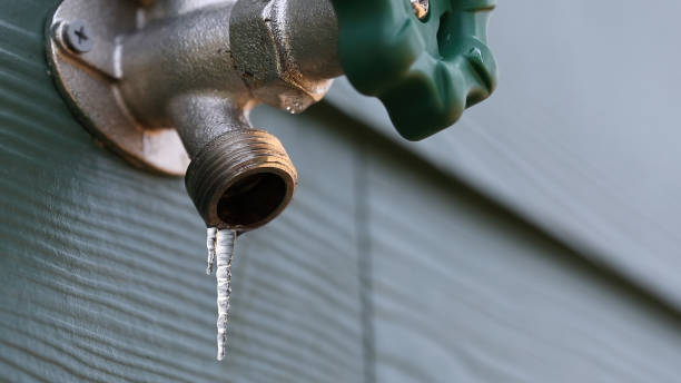 Best Septic Systems  in Wellton, AZ